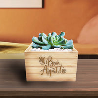 Topsy Turvy Succulent